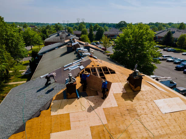 Best Commercial Roofing Services  in Reedurban, OH