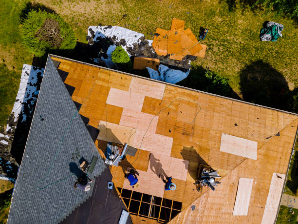 Best Emergency Roof Repair  in Reedurban, OH