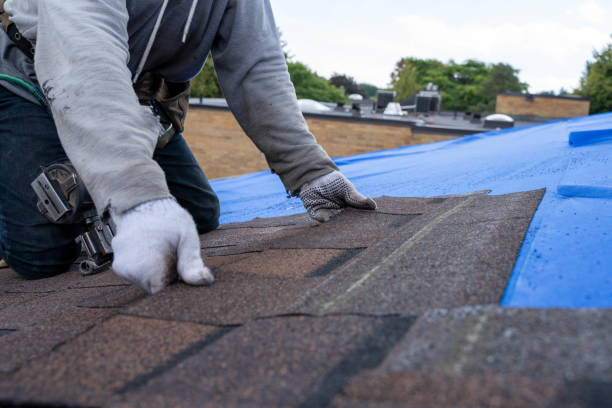 Best Roof Repair Services  in Reedurban, OH